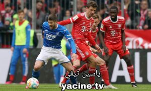ليلة حسم المركز الثاني.. موعد مباراة هوفنهايم وبايرن ميونخ في الدوري الألماني 